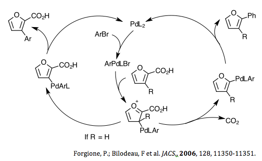 Proposed mechanism of heteroaromatic acid coupling, Forgione et al. 2006