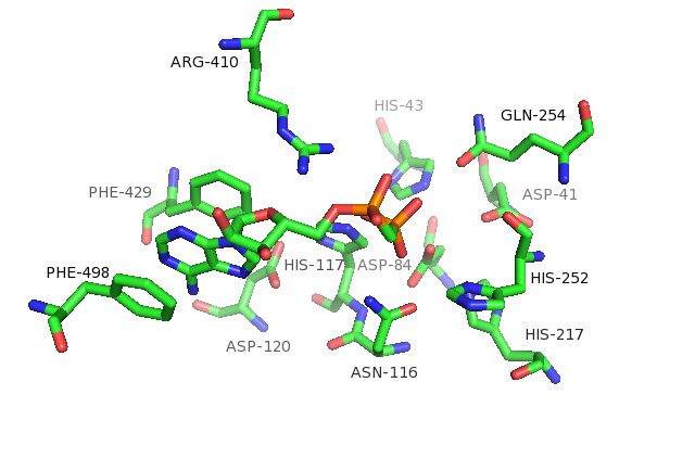 File:5NT Active Site.png