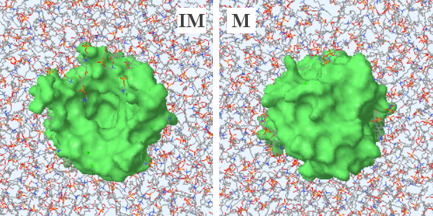 File:ATP-ADP translocase - top and bottom views.png