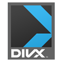 File:DivX container.png