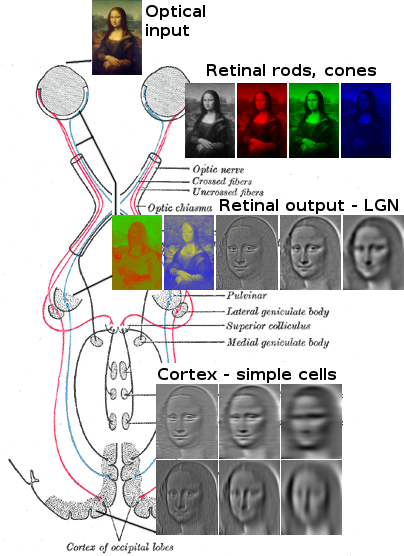 File:Lisa analysis.png