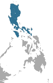 Luzon Shrew area.png