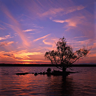 File:Rivertree thirds md.gif