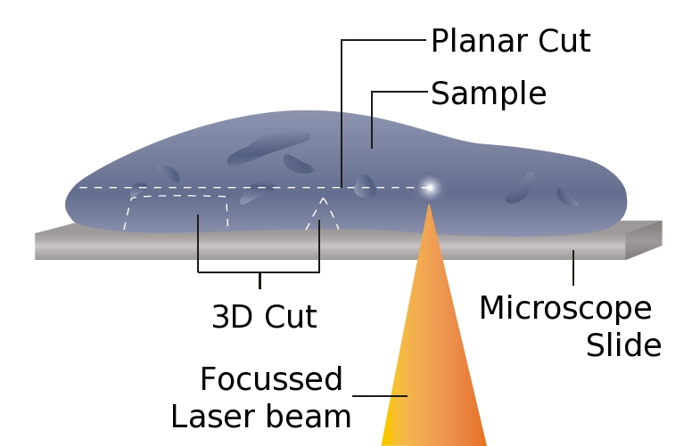 File:Laser-microtome-schematic.png