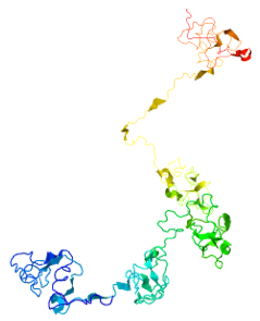 Secondary Structure Prediction of C16orf71.png