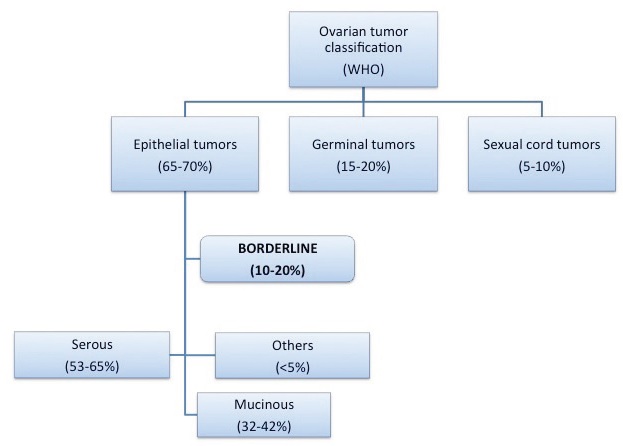 File:WHO ovarian tumor classification.jpg