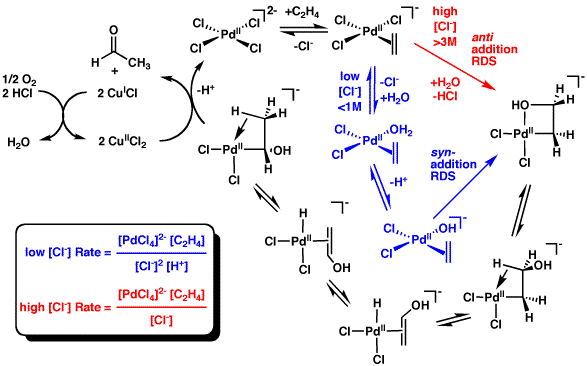 The mechanism of the Wacker process involves Pd-alkene complex intermediates.