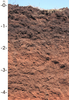 Oklahoma state soil.JPG