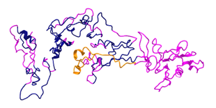 File:ZNF548 tertiary structure predicted by iTasser..png
