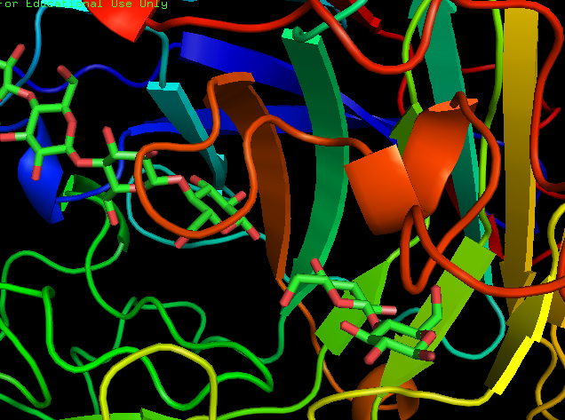 File:CBH1 Function.PNG