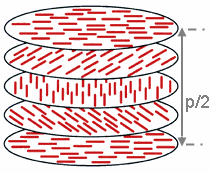 The image shows a rotation of the director about 180° in a cholesteric phase. The corresponding distance is the half-pitch, p/2.