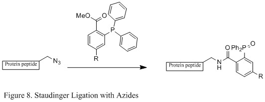 File:Figure 8. Staudinger Ligation with Azides.jpg