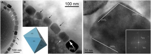 File:Magnetite magnetosomes in Gammaproteobacteria.png