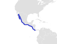 Pacific Nurse Shark Range.png