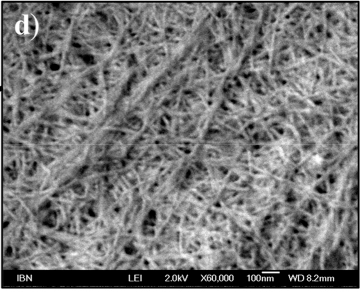 File:Short-peptide-based hydrogel, electron microscope image.jpg