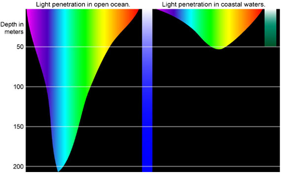File:NOAA Deep Light diagram3.jpg