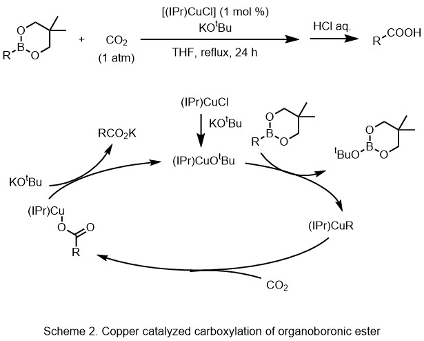 Scheme 2 Copper catalyzed carboxylation of organoboronic ester