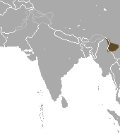 Burmese Short-tailed Shrew area.png