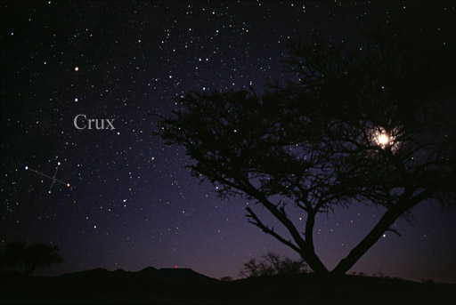 File:Constellation Crux.jpg