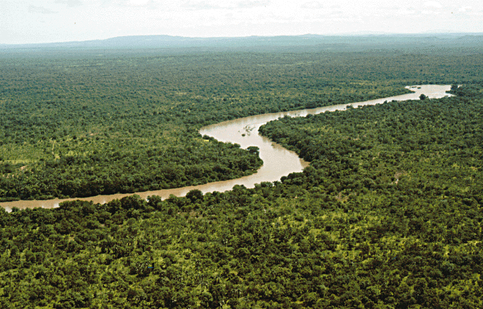 File:River gambia Niokolokoba National Park.gif