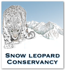 Snow-Leopard-Conservancy-Logo.png