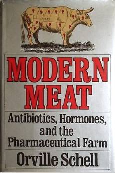 Cover of Modern Meat.jpg