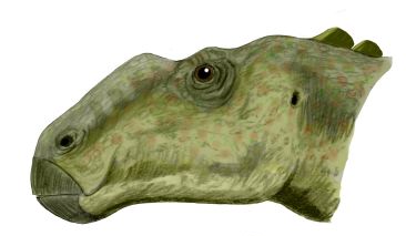 File:Gryposaurus BW.jpg