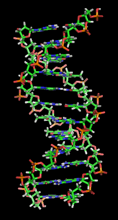 DNA orbit animated static thumb.png
