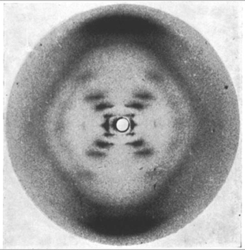 File:Fig-1-X-ray-chrystallography-of-DNA.gif