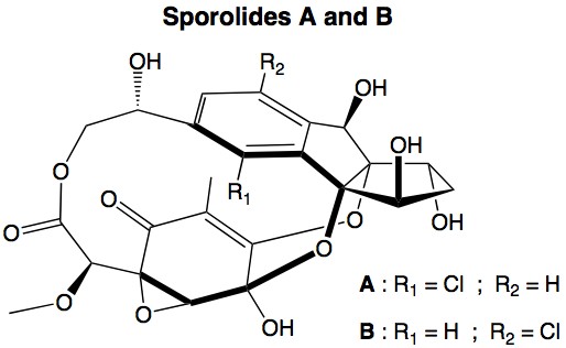 File:Sporolides A and B.jpg