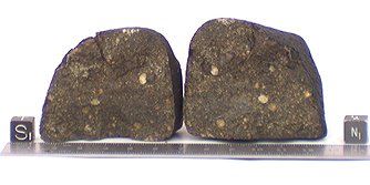 File:"Meteorite Hills 00506" (MET00506) meteorite.jpg