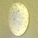 A cream egg with light buff blotches