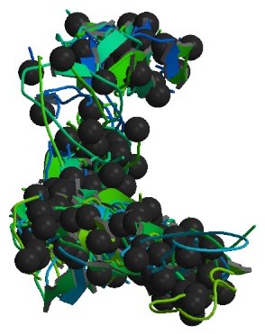 File:COL1A1 protein - PDB rendering based on 1y0f.jpg