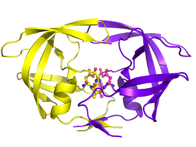 File:HIV-1 Protease with Active Site.png
