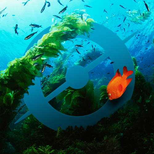 File:Avatar kelp.png
