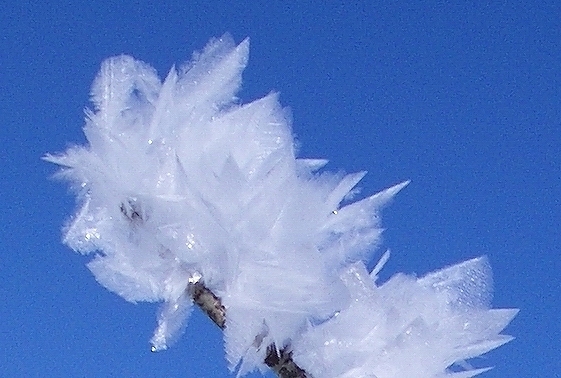 File:Feather ice 1, Alta plateau, Norway.jpg
