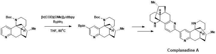 Synthesis of complanadine A