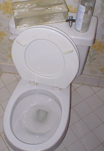 File:Toilet 370x580.jpg