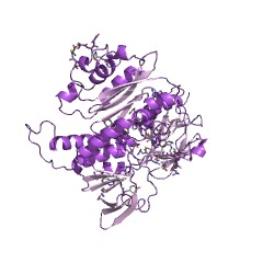 Mercuric reductase protein structure.jpg