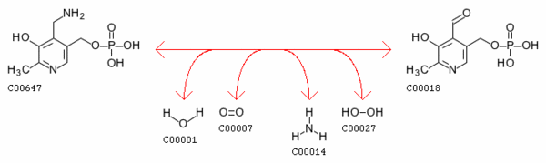 Pyridoxamine reaction.gif