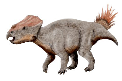 File:Ajkaceratops NT.jpg