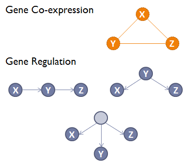 File:Gene co-expression vs regulation.png