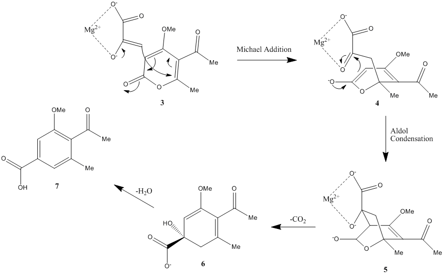 Scheme 2 macrophomic acid.gif
