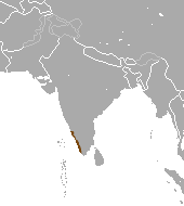 File:Malabar Large-spotted Civet area.png