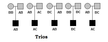 File:Trios.jpg