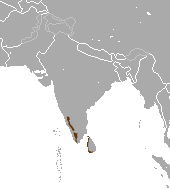 Indian Brown Mongoose area.png
