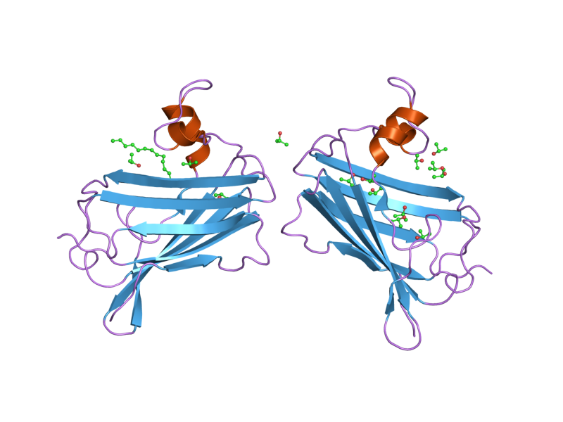 File:PDB 2ag9 EBI.png