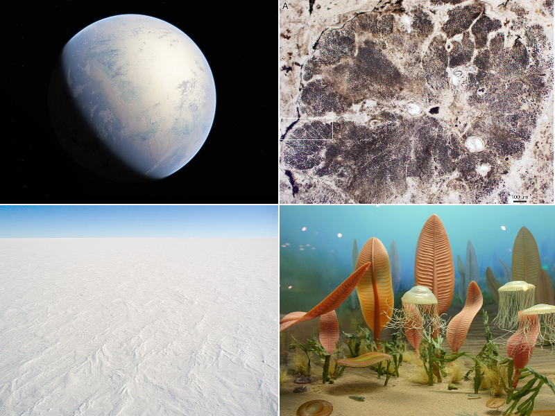File:Proterozoic collage.png