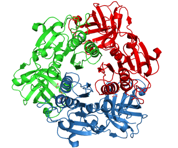File:Fluorinase crystal structure.png