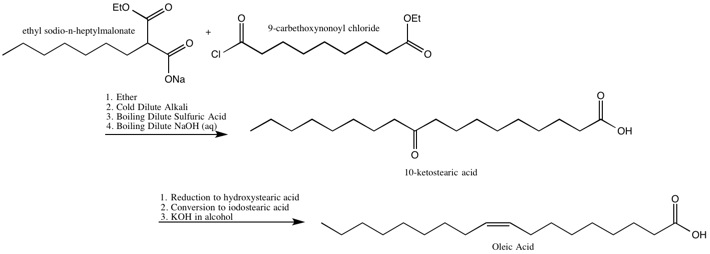 The Robinsons' Synthesis of Oleic Acid